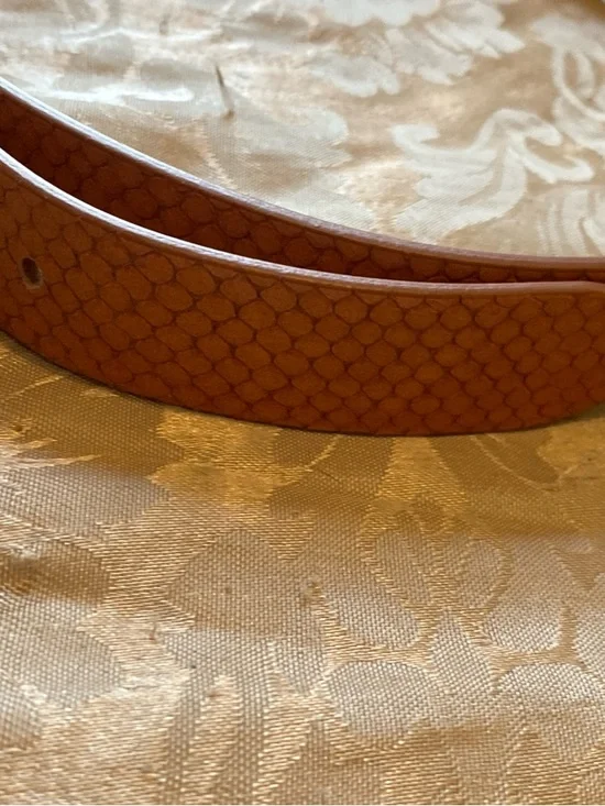 Isabel Marant Rust Brown Textured Goat Leather Belt - Picture 10 of 11